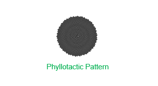 Phyllotaxis preview