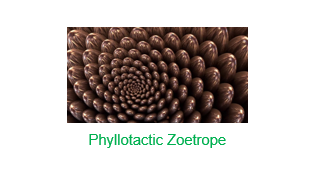 Phyllotactic Zoetrope preview