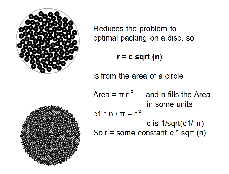 Phyllotaxis formula 3