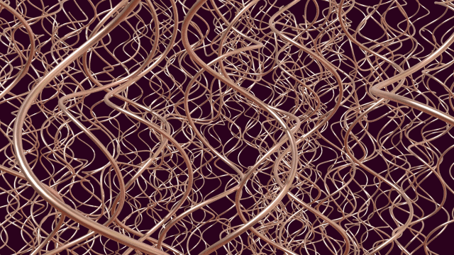 Strands Of Life
